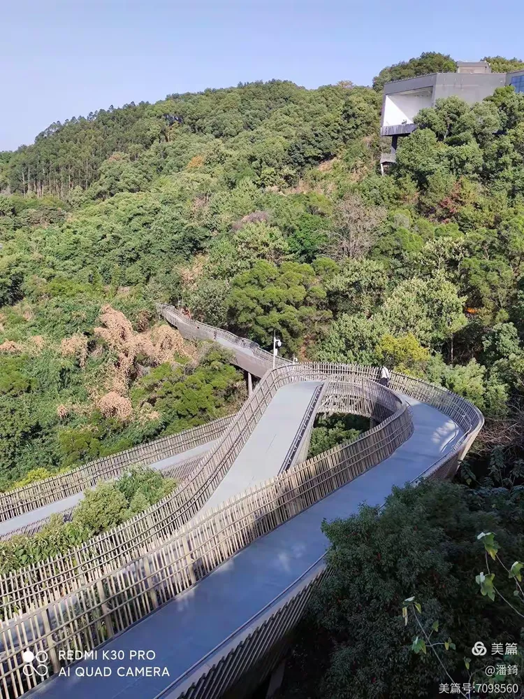 八闽游手机版下载(八闽福建麻将安卓版手机麻将)