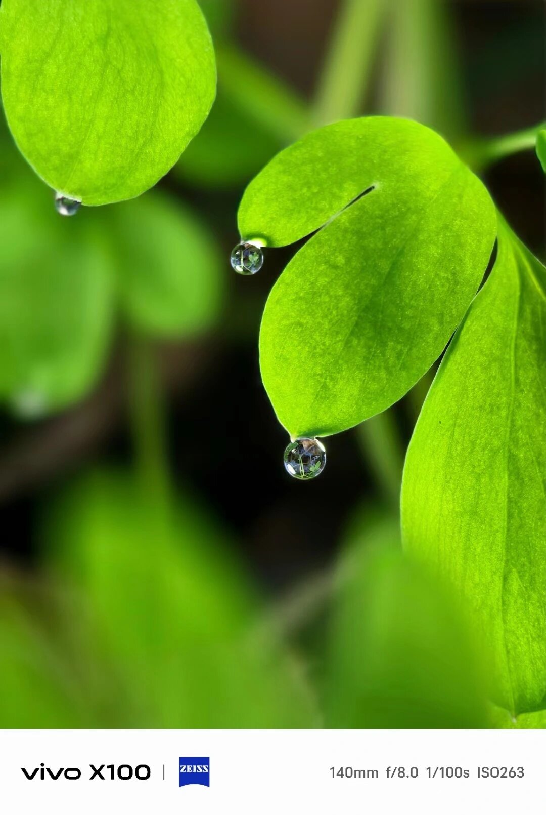 包含91手机助手绿色版的词条