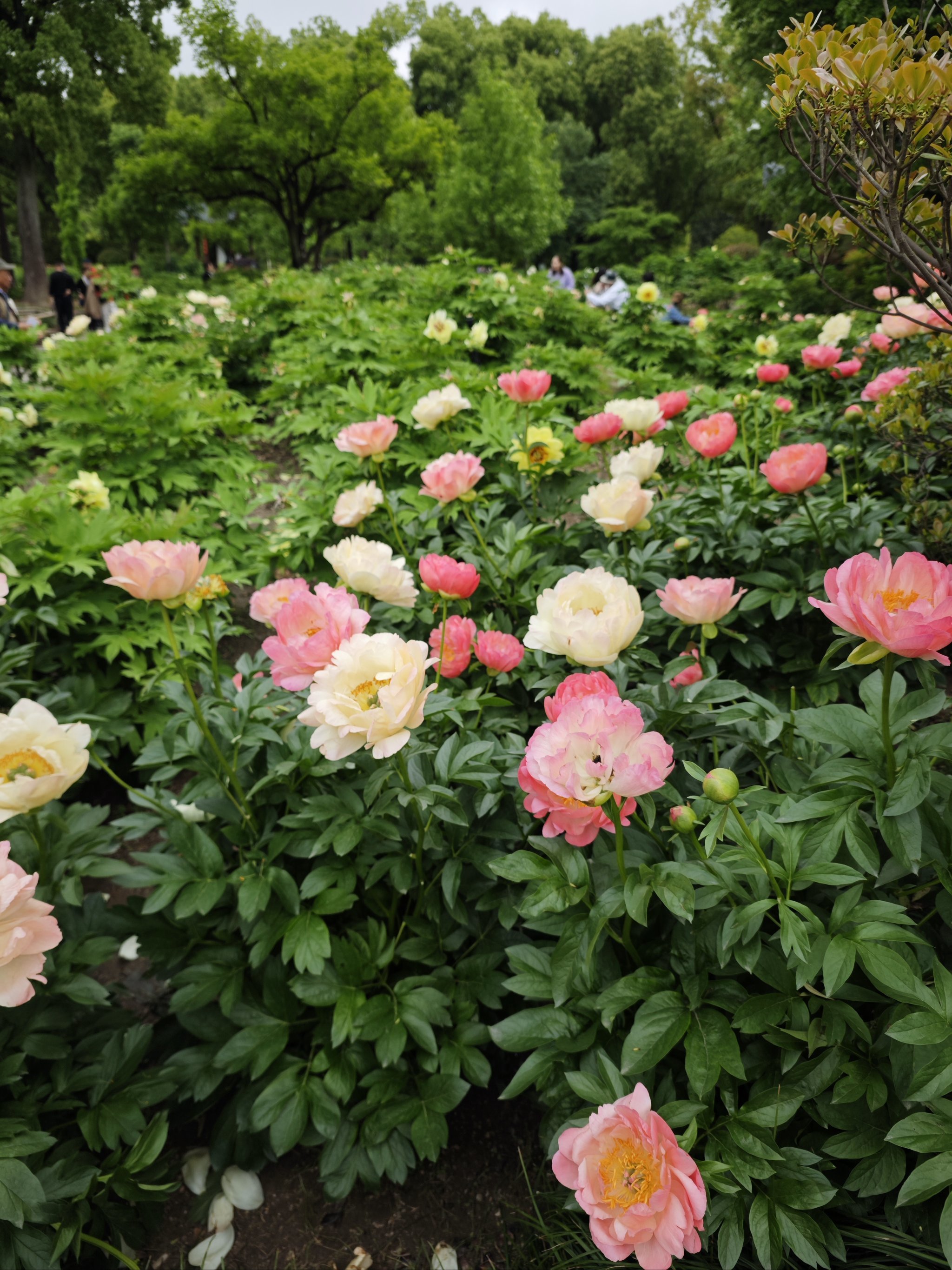 58y手机版下载(58影视手机版本免费下载最新版本)-第5张图片-QuickQ官网 58y手机版下载(58影视手机版本免费下载最新版本)-第5张图片-QuickQ官网