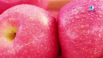 closer苹果版(苹果locker下载)-第2张图片-QuickQ官网 closer苹果版(苹果locker下载)-第2张图片-QuickQ官网